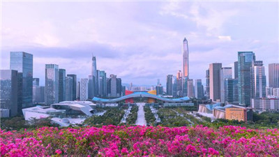 探寻上海嘉定新城的茶香聚集地